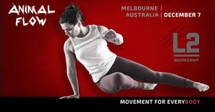 Leading foam suppliers in sydney, melbourne & beyond. Animal Flow Level 2 Melbourne Dec Animal Flow