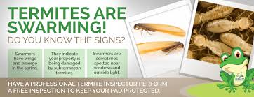 240 w center st west bridgewater, ma 02379 сша. Massachusetts Termite Control Burgess Pest Management