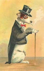 Jack Russell Terrier In Top Hat And Tails T Shirt Vintage Dog Dog Art Animal Clip Art