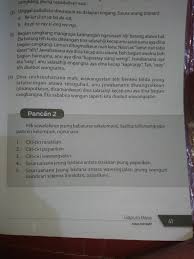 Kunci jawaban buku siswa kelas 4 tema 8 halaman 4 5 7 8. Jawaban Pancen 8 Bahasa Sunda Kelas 8 Guru Paud