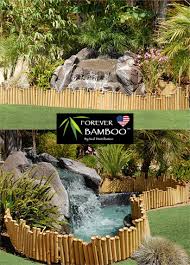 Bamboo garden offers a privacy screen fast growing evergreen with leaves, stems or soft sticks. Bamboo Edging And Borders Enhance A Backyard