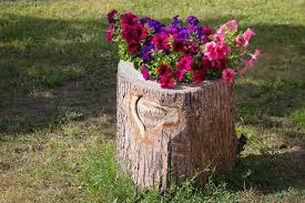 We did not find results for: Baumstumpfe In Den Garten Integrieren Oder Verstecken Heimwerkertricks Net