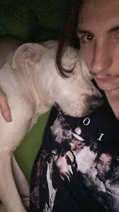 Is this dog the one that was missing in the Hollis Crossroads area?