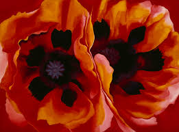 Image result for Poppy Red 1995 AAV