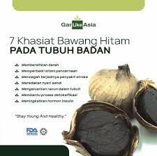 Dari tulisan di atas kita tau meskipun hampir seluruh khasiat bawang putih telah ada pada bawang lanang, tiada ada salahnya kita cantumkan khasiat bawang putih dimakan. Black Garlic Bawang Hitam Shopee Malaysia