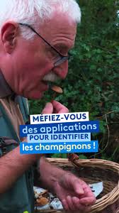 📗 Les Phasmes, ces petits insectes brindilles, sont au cœur d'une histoire  courte que publie Pascal Arnaud, un auteur installé à Parthenay. Un joyeux  retour à l'enfance ! #parthenay #livre @clement.a.masse Les