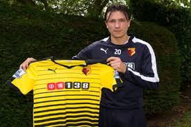 Hij tekende in juli 2017 een contract tot medio 2021 bij feyenoord, dat circa € 6,5 miljoen voor hem betaalde aan watford. De Telegraaf On Twitter Steven Berghuis Maakt Premier League Debuut Voor Watford Http T Co Uut58mmnc5 Watwes Http T Co 6gcfkehvd0