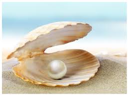 Top 3 Phu Quoc Pearl Farms Famous 2024 | Salinda Resort Phu Quoc Island