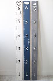 Wood Growth Chart Ruler 3d