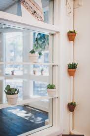 I get asked 1 of these questions every month or 2 and wanted to answer them here. How To Care For Indoor Plants Succulents Ferns And Mosses The Pioneer Collective