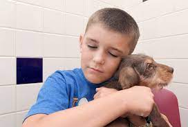 Adopting a dog isn't the only way to help agape animal rescue and give back to animals in need, but it's a great start. Nashville Pet Adoption Families Try To Find The One On Free Weekend
