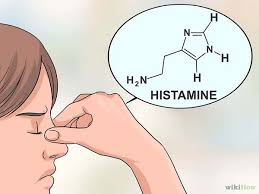 Petua Hilangkan Hidung Tersumbat Dan Meredakan Resdung Dengan Berkesan Brodespatch