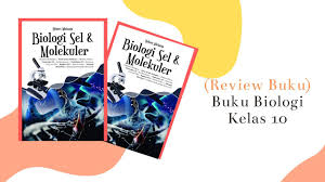 Download buku biologi kelas 10 kurikulum 2013 pdf. Pelajari Ulasan Singkat Isi Buku Biologi Kelas 10 Resensi Buku