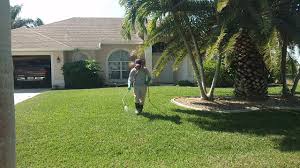 Gregory's pest control in coral springs, fl can take care of any pest issue, big or small. Abc Pest Control Cape Coral Fort Myers Lee County Pest Control