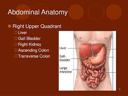 Classically, quadrants are described as the left upper, left lower, right upper, and right lower. Ppt Abdominal Pain Powerpoint Presentation Free Download Id 3094584