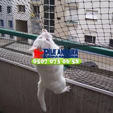 Ankara Evcil Hayvan Filesi Cocuk Filesi Kedi Filesi Balkon Filesi Ankarada Evcil Hayvan Filesi Cocuk Filesi Kedi Filesi Balkon Filesi Ankara Evcil Hayvan Filesi Cocuk Filesi Kedi Filesi Balkon Filesi Montaji Yapan