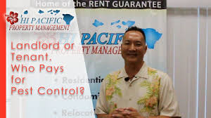 That's because standard rental contracts typically do not. Landlord Or Tenant Who Pays For Pest Control