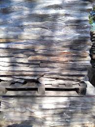 San Luis Laja Blanca Micosa Brillante