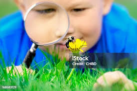 1,100+ Boy And The Bee Stock Photos, Pictures & Royalty-Free Images