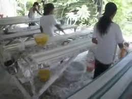 Bahan tersebut didapat dari batu putih. Cetak Lis Gypsum Bali Youtube