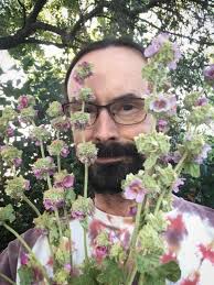 September-October Bristlecone CNPS Newsletter