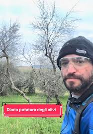 Olivi e Drenaggio: La Salute delle Piante