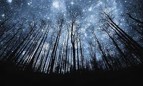  Gambar Pemandangan Indah Di Malam Hari Mengintip Langit Malam Terindah Di Dunia Magnificent Foto Pemandangan Indah Pada Malam Langit Malam Pemandangan Langit
