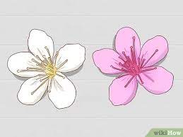 We did not find results for: 3 Ways To Identify Cherry Trees Wikihow