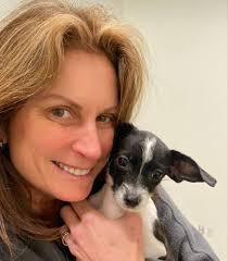 Friend requests and comments