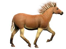 Es gilt als südliche unterart des steppenzebras (equus quagga), welche sich durch eine, . Quagga Definition Und Bedeutung Collins Worterbuch