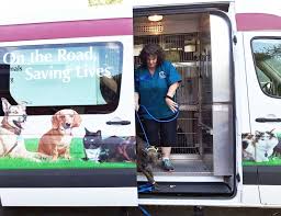 Local kennel aids in rescue after Hurricane Irma