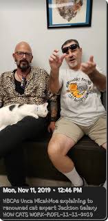 BIG NEWS: we have a new cat. My lovely bride @victoria_blewer brought this  boy home from the shelter, Honeward Bound , where she volunteers. His name  is Nugget, he was a stray,