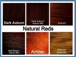 Close Up Of My Color Chart Maroon Hair Colors Hair Color Chart Hair Color Auburn