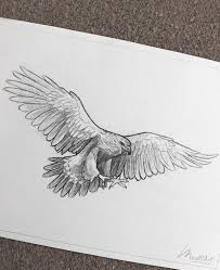 My Sketchbook Art Portfolio I Endangered Vulnerable Threatened Species Animals I Art Ideas Sketches I Pencil Dra Eagle Drawing Bird Sketch Eagle Painting