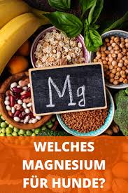 Welches Magnesium Fur Hunde Erfahrungen Mit Dosierung Und Wirkung Zur Beruhigung Magnesium Ernahrung Nahrung