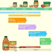 The Homemade Baby Food Test Gerber Graduates Yogurt Melts Vs