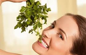 Persil, persil chinois, persil arabe. Le Persil Tout Pratique