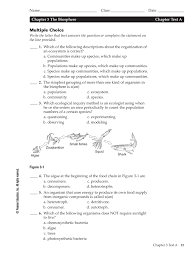 Chapter 24 The Immune System And Disease Worksheet Answers Nidecmege