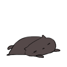 Pin On Cats Of Course And Big Cats