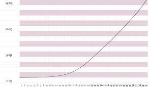 Schwanger sein bedeutet gewicht zulegen. Gewichtszunahme In Der Schwangerschaft