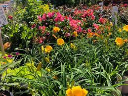 Jun 15, 2021 · waco speaks up: Westview Nursery Landscape Home Facebook