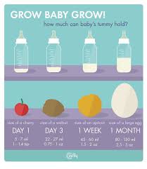 stomach capacity baby stomach size chart www