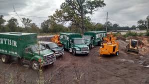 Maybe you would like to learn more about one of these? Trees R Us Inc Chicago North Northwest Suburb Tree Service Tree Trimming Removal Planting Pruning