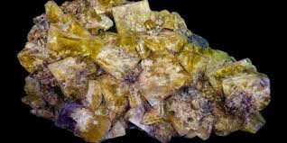 Fluorine Assignment Point