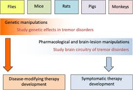 Tremor, a rhythmic, involuntary, oscillatory movement of body parts, is the most common movement disorder. Current Opinions And Consensus For Studying Tremor In Animal Models Springerlink