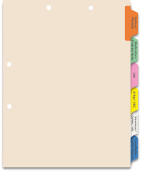 6 Tab Medical Chart Divider Set Side Tab Charts Carts