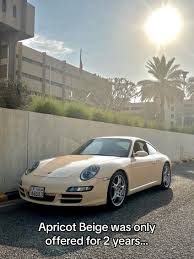 Image result for Gris Beige 1988 ARO