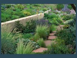 Pin By Brook Long On Inspiration Xeric And Med Succulent Landscape Design Backyard Landscaping Colorado Gardening