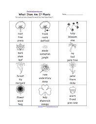 plants at enchantedlearning com