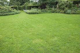 Comment Reussir L Aeration Du Gazon Methode Et Conseils Pelouse Conseil Jardinage Idees Jardin
